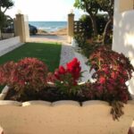 SPIAGGIA IL GIGLIO SUL MARE